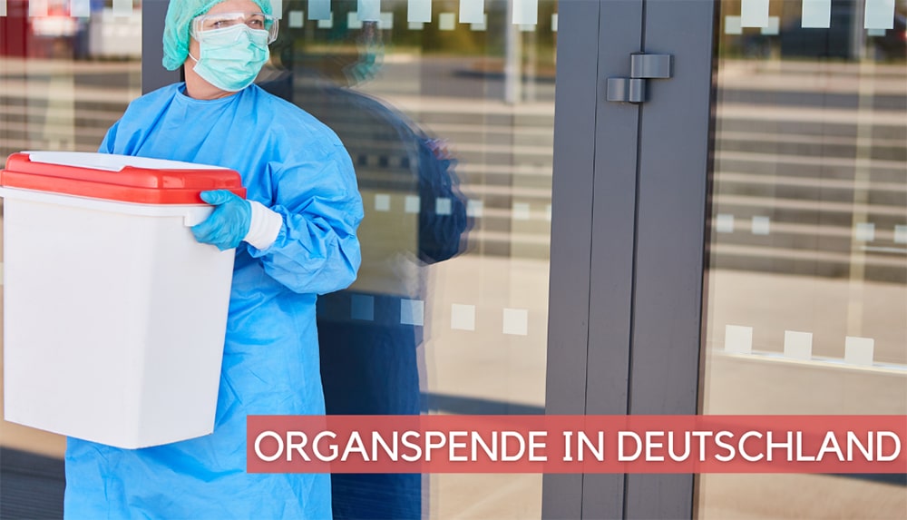 ORGANSPENDE IN DEUTSCHLAND